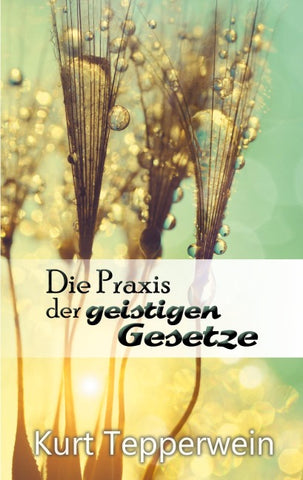 Die Praxis der geistigen Gesetze