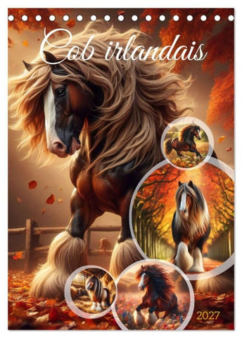 Cob irlandais (Calendrier de bureau 2027 DIN A5 horizontal), CALVENDO calendrier mensuel