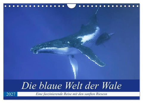 Die blaue Welt der Wale (Wandkalender 2027 DIN A4 quer), CALVENDO Monatskalender