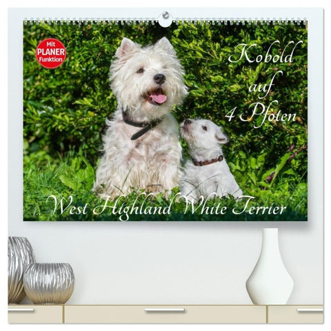 Kobold auf 4 Pfoten - West Highland White Terrier (hochwertiger Premium Wandkalender 2027 DIN A2 quer), Kunstdruck in Hochglanz