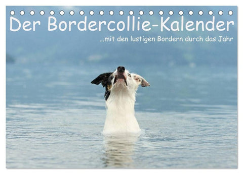 Der Bordercollie-Kalender (Tischkalender 2027 DIN A5 quer), CALVENDO Monatskalender