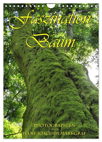 Faszination Baum (Wandkalender 2026 DIN A4 hoch), CALVENDO Monatskalender