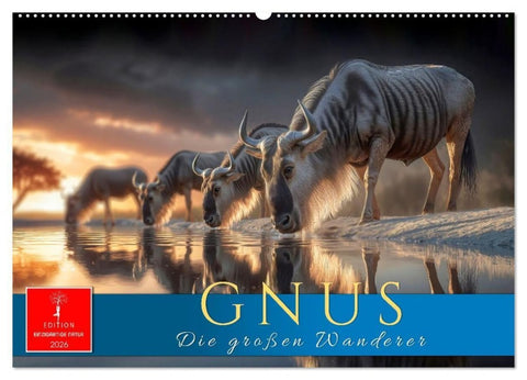 Gnus - die großen Wanderer (Wandkalender 2026 DIN A2 quer), CALVENDO Monatskalender