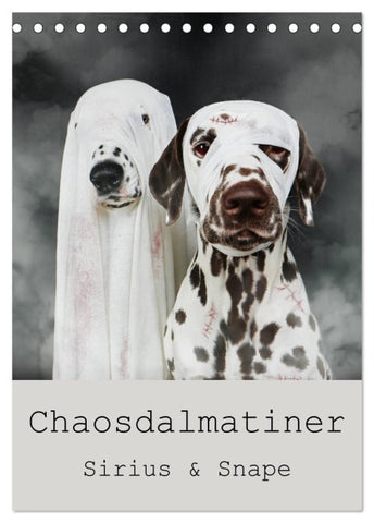 Chaosdalmatiner Sirius und Snape (Tischkalender 2027 DIN A5 hoch), CALVENDO Monatskalender