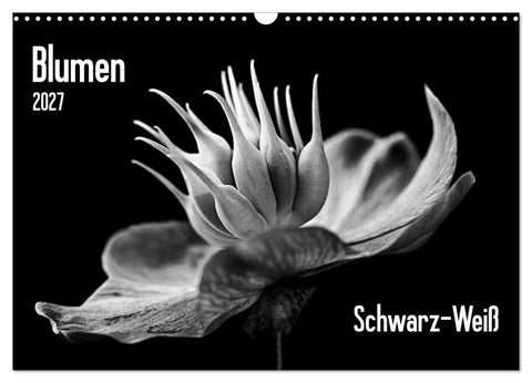 Blumen 2027, Schwarz-Weiß (Wandkalender 2027 DIN A3 quer), CALVENDO Monatskalender
