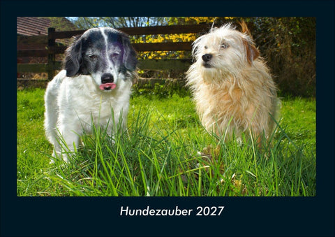 Hundezauber 2027 Fotokalender DIN A4