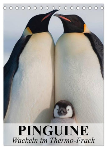 Pinguine - Wackeln im Thermo-Frack (Tischkalender 2027 DIN A5 hoch), CALVENDO Monatskalender