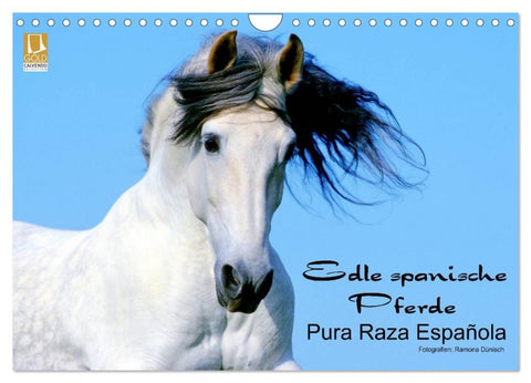Edle spanische Pferde - Pura Raza Espanola (Wandkalender 2026 DIN A4 quer), CALVENDO Monatskalender