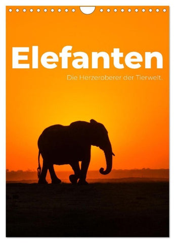 Elefanten - Die Herzeroberer der Tierwelt. (Wandkalender 2027 DIN A4 hoch), CALVENDO Monatskalender