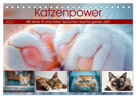 Katzenpower (Tischkalender 2027 DIN A5 quer), CALVENDO Monatskalender