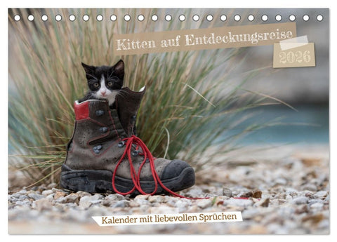 Kitten auf Entdeckungsreise (Tischkalender 2026 DIN A5 quer), CALVENDO Monatskalender