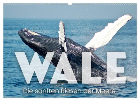Wale - Die Riesen der Meere. (Wandkalender 2027 DIN A2 quer), CALVENDO Monatskalender