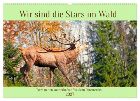 Wir sind die Stars im Wald (Wandkalender 2027 DIN A2 quer), CALVENDO Monatskalender