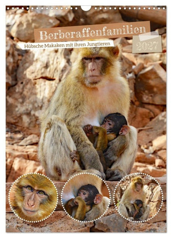 Berberaffenfamilien (Wandkalender 2027 DIN A3 hoch), CALVENDO Monatskalender