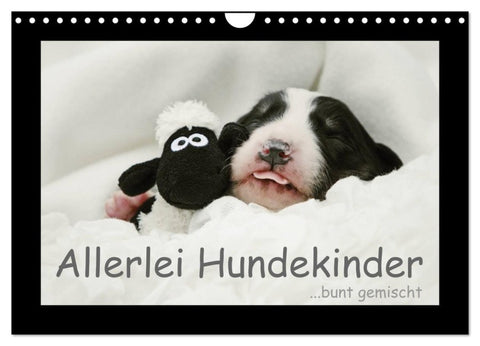 Allerlei Hundekinder (Wandkalender 2027 DIN A4 quer), CALVENDO Monatskalender