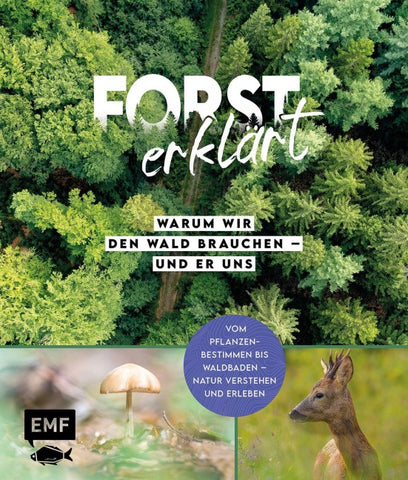 Forst erklärt: Warum wir den Wald brauchen – und er uns