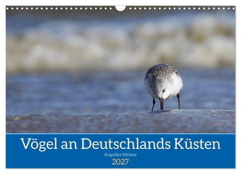 Vögel an Deutschlands Küsten (Wandkalender 2027 DIN A3 quer), CALVENDO Monatskalender