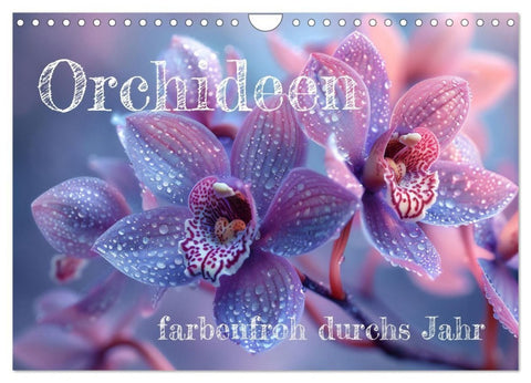 Orchideen - farbenfroh durchs Jahr (Wandkalender 2027 DIN A4 quer), CALVENDO Monatskalender