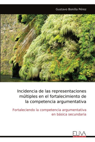 Incidencia de las representaciones múltiples en el fortalecimiento de la competencia argumentativa