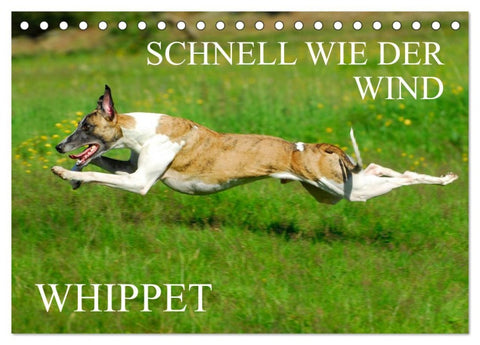 Schnell wie der Wind - Whippet (Tischkalender 2026 DIN A5 quer), CALVENDO Monatskalender