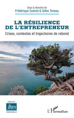 La résilience de l'entrepreneur