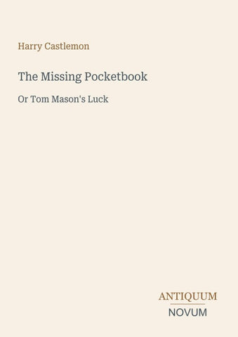 The Missing Pocketbook