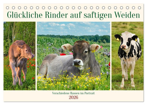 Glückliche Rinder auf saftigen Weiden (Tischkalender 2026 DIN A5 quer), CALVENDO Monatskalender