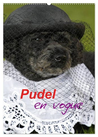Pudel en vogue (Wandkalender 2026 DIN A2 hoch), CALVENDO Monatskalender