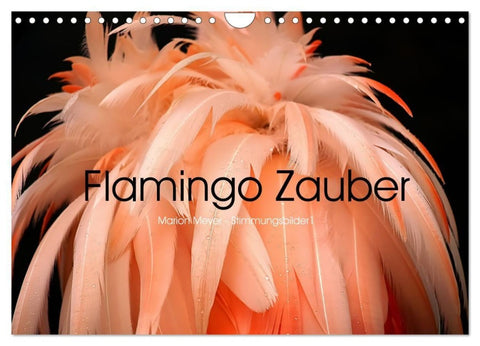 Flamingo Zauber (Wandkalender 2027 DIN A4 quer), CALVENDO Monatskalender