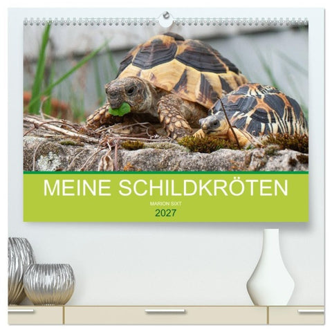 Meine Schildkröten (hochwertiger Premium Wandkalender 2027 DIN A2 quer), Kunstdruck in Hochglanz