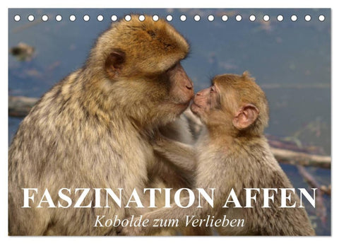 Faszination Affen. Kobolde zum Verlieben (Tischkalender 2026 DIN A5 quer), CALVENDO Monatskalender