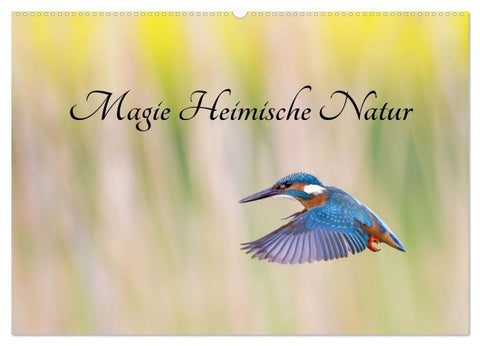 Magie Heimische Natur (Wandkalender 2027 DIN A2 quer), CALVENDO Monatskalender
