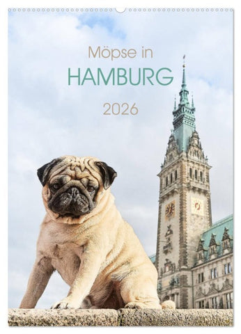 Möpse in Hamburg (Wandkalender 2026 DIN A2 hoch), CALVENDO Monatskalender