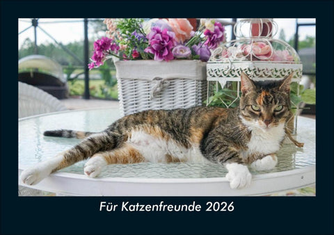 Für Katzenfreunde 2026 Fotokalender DIN A5