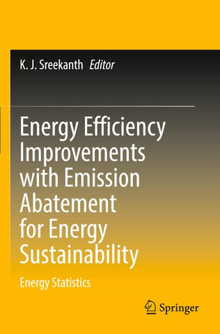 Energy Efficiency Improvements with Emission Abatement for Energy Sustainability