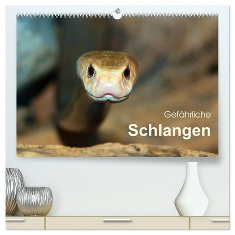 Gefährliche Schlangen (hochwertiger Premium Wandkalender 2026 DIN A2 quer), Kunstdruck in Hochglanz