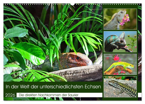 In der Welt der unterschiedlichsten Echsen (Wandkalender 2026 DIN A2 quer), CALVENDO Monatskalender