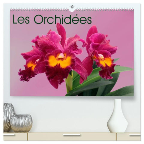 Les Orchidées  (Calendrier mural 2026 DIN A2 vertical) calendrier de bureau