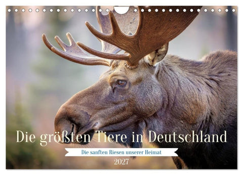 Die größten Tiere in Deutschland (Wandkalender 2027 DIN A4 quer), CALVENDO Monatskalender