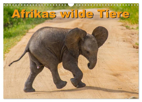 Afrikas wilde Tiere (Wandkalender 2026 DIN A3 quer), CALVENDO Monatskalender