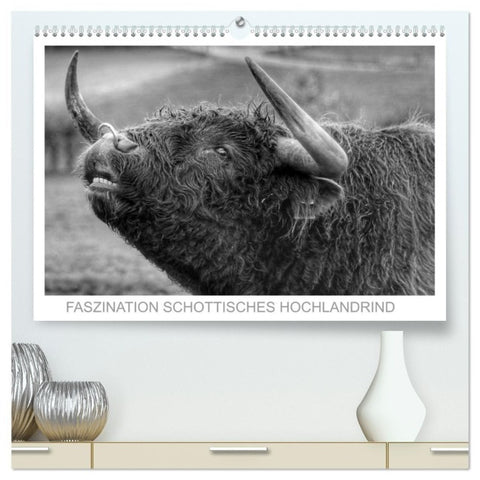 Faszination Schottisches Hochlandrind (hochwertiger Premium Wandkalender 2027 DIN A2 quer), Kunstdruck in Hochglanz