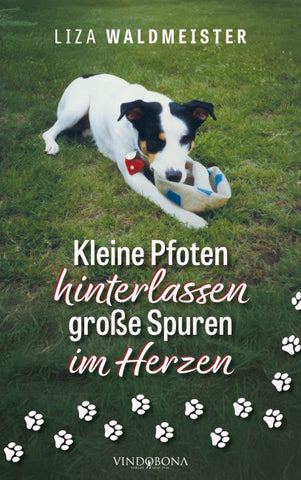 Kleine Pfoten hinterlassen große Spuren im Herzen