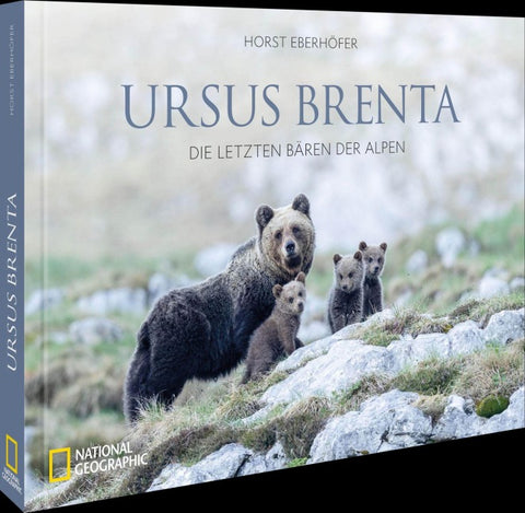 Ursus Brenta — Die Rückkehr der Bären in die Alpen
