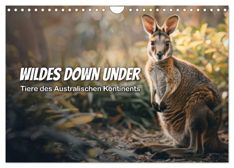 Wildes Down Under: Tiere des Australischen Kontinents (Wandkalender 2027 DIN A4 quer), CALVENDO Monatskalender