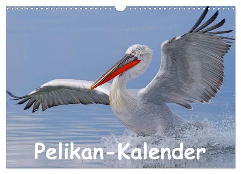 Pelikan-Kalender (Wandkalender 2027 DIN A3 quer), CALVENDO Monatskalender