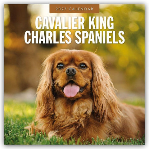 Cavalier King Charles Spaniels – Cavalier King Charles Spaniel 2027 – 16-Monatskalender