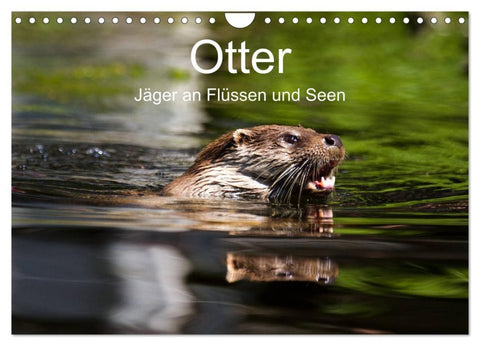 Otter - Jäger an Flüssen und Seen (Wandkalender 2026 DIN A4 quer), CALVENDO Monatskalender