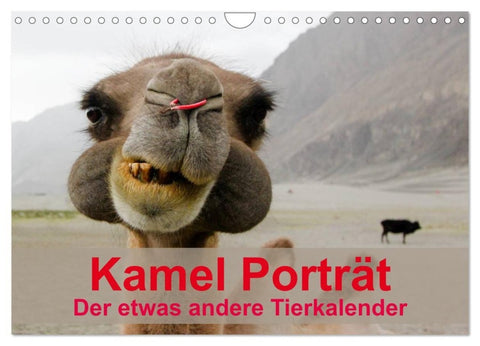 Kamel Porträt (Wandkalender 2027 DIN A4 quer), CALVENDO Monatskalender