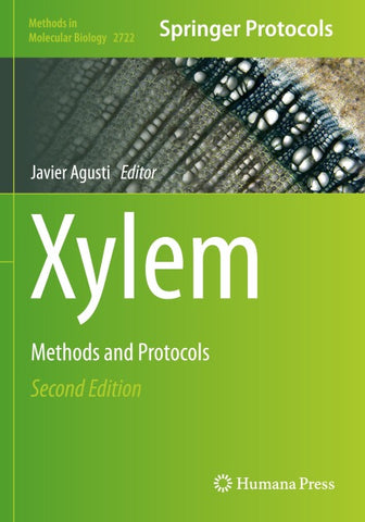 Xylem