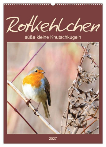 Rotkehlchen, süße kleine Knutschkugeln (Wandkalender 2027 DIN A2 hoch), CALVENDO Monatskalender